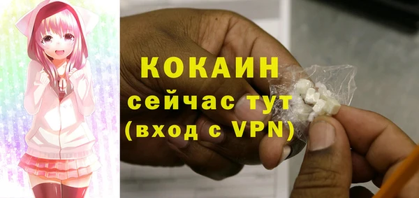 стафф Пересвет