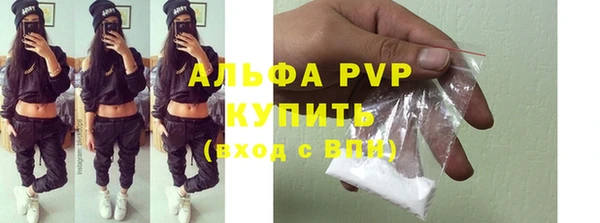 ПСИЛОЦИБИНОВЫЕ ГРИБЫ Переславль-Залесский