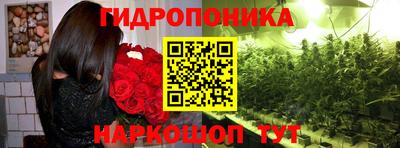 гашишное масло Берёзовский