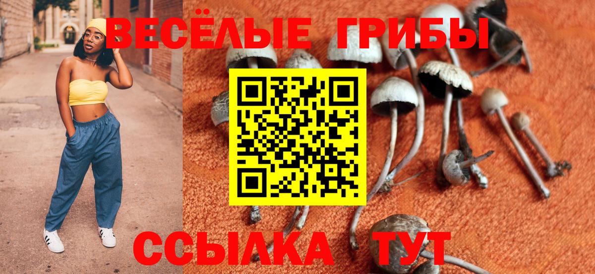 Псилоцибиновые грибы мухоморы  Галлюциногенные грибы мицелий  Североуральск 