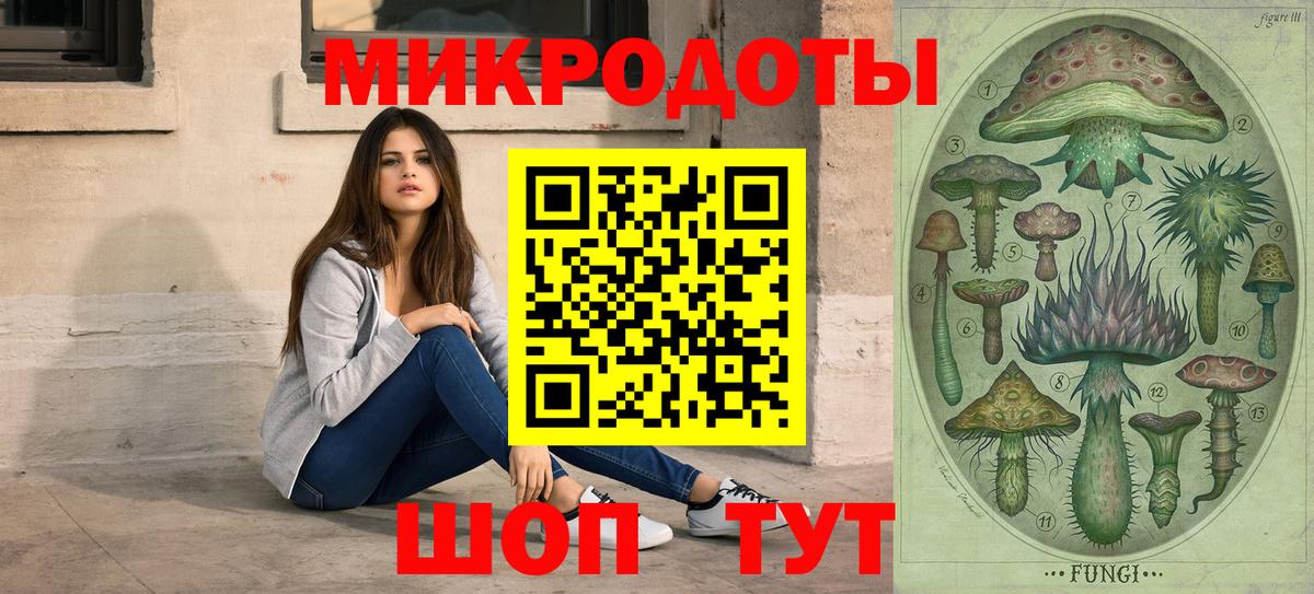 Псилоцибиновые грибы Psilocybe Североуральск